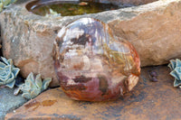 Polished Large Petrified Red Podocarpus Wood Hearts  x 2 From Mahajanga, Madagascar - TopRock