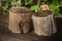 Polished Petrified Wood Branch Pieces  x 2 From Gokwe, Zimbabwe - Toprock Gemstones and Minerals 