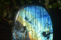 Polished Blue & Gold Labradorite Standing Free Form  x 1 From Tulear, Madagascar