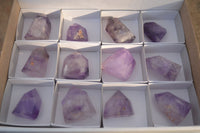 Polished Small Window Amethyst Quartz Points x 12 From Madagascar