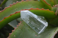 Polished Clear Quartz Crystal Points  x 8 From Madagascar