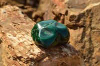 Polished Malachite Free Forms With Stunning Flower & Banding Patterns x 5 From Congo - TopRock