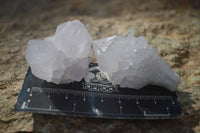 Natural White Spirit Cactus Quartz Crystals  x 24 From Boekenhouthoek, South Africa - Toprock Gemstones and Minerals 