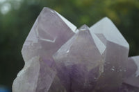 Natural Jacaranda Amethyst Clusters  x 2 From Mumbwa, Zambia - Toprock Gemstones and Minerals 