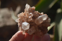 Natural Small Quartz Clusters  x 24 From Madagascar