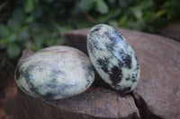 Polished Spotted Leopard Stone Gallets  x 6 From Zimbabwe - Toprock Gemstones and Minerals 