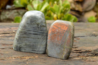 Polished  Labradorite Standing Free Forms With Purple & Gold Flash  x 2 From Tulear, Madagascar - TopRock