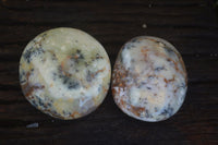 Polished Stunning Dendritic Opal Palm Stones  x 12 From Madagascar - Toprock Gemstones and Minerals 