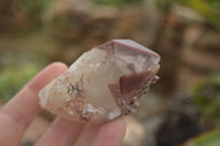 Natural Red Hematoid Quartz Specimens x 12 From Karoi, Zimbabwe - TopRock