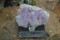 Natural Jacaranda Amethyst Clusters  x 3 From Mumbwa, Zambia - Toprock Gemstones and Minerals 