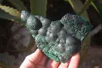 Natural Crystalline Botryoidal Malachite Specimens  x 3 From Congo