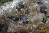 Natural Schorl Black Tourmaline & Smokey Quartz Specimens x 2 From Erongo Mountains, Namibia - TopRock