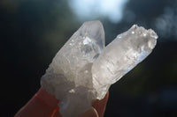 Natural Single Clear Quartz Crystals  x 12 From Mpika, Zambia - Toprock Gemstones and Minerals 