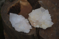 Natural White Spirit Cactus Quartz Crystals  x 24 From Boekenhouthoek, South Africa - Toprock Gemstones and Minerals 