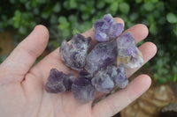 Natural Small Dark Amethyst Clusters  x 37 From Mapatizya, Zambia - Toprock Gemstones and Minerals 