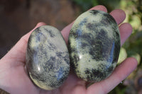 Polished Spotted Leopard Stone Gallets  x 6 From Zimbabwe - Toprock Gemstones and Minerals 