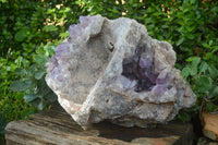 Natural Jacaranda Amethyst Cluster x 1 From Mumbwa, Zambia