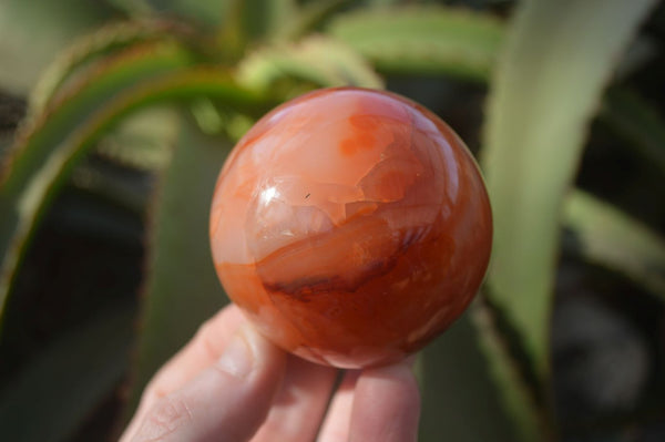 Polished Carnelian Agate Spheres  x 4 From Madagascar