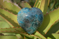 Polished Blue Apatite Gemstone Hearts  x 3 From Madagascar - Toprock Gemstones and Minerals 