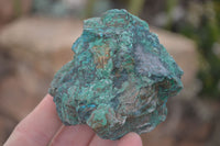 Natural Rough Blue Shattuckite Specimens  x 12 From Kaokoveld, Namibia - Toprock Gemstones and Minerals 