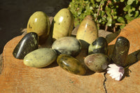 Polished Mixed Selection Of Leopard stone Free Forms   x 10 From Zimbabwe - TopRock