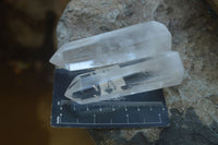 Polished Clear Quartz Crystal Points  x 8 From Madagascar