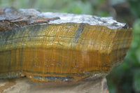 Natural Golden Blue Tigers Eye Specimens  x 2 From Prieska, South Africa - TopRock