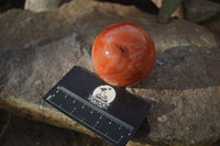 Polished Carnelian Agate Spheres  x 4 From Madagascar