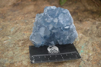 Natural Blue Celestite Crystal Specimens  x 3 From Madagascar - Toprock Gemstones and Minerals 