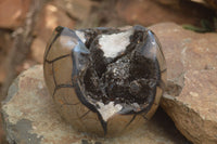 Polished Septerye Sauvage "Dragons Egg" x 1 From Mahajanga, Madagascar - TopRock