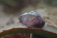 Natural Skeletal Smokey Amethyst Crystals  x 20 From Chiredzi, Zimbabwe