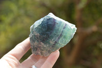 Natural Small Cobbed Watermelon Fluorite Specimens x 5 From Uis, Namibia - TopRock