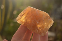 Natural Honey Aragonite Etched & Cobbed Pieces  x 12 From Namibia