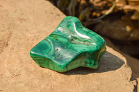 Polished Malachite Free Forms With Stunning Flower & Banding Patterns x 5 From Congo - TopRock