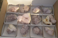 Natural Spirit Amethyst Quartz Specimens x 12 From Boekenhouthoek, South Africa