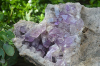 Natural Jacaranda Amethyst Cluster x 1 From Mumbwa, Zambia