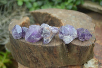 Natural Small Dark Amethyst Clusters  x 37 From Mapatizya, Zambia - Toprock Gemstones and Minerals 