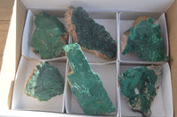 Natural Crystalline Malachite Specimens  x 6 From Congo