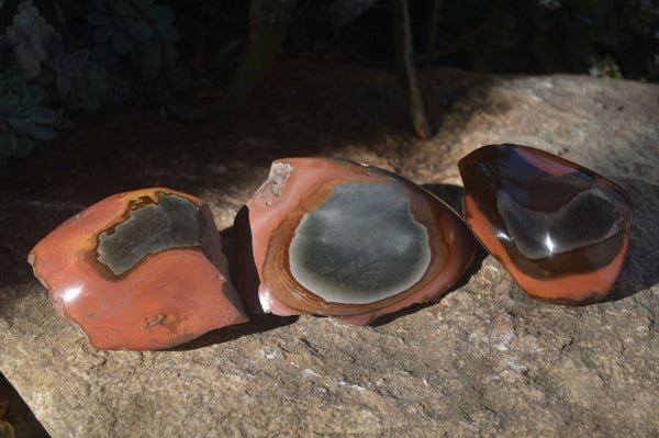 Polished One Side Polished Polychrome Jasper Nodules  x 3 From Madagascar