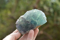 Natural Small Cobbed Watermelon Fluorite Specimens x 5 From Uis, Namibia - TopRock