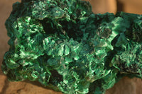 Natural Chatoyant Silky Malachite Specimens  x 2 From Kasompe, Congo