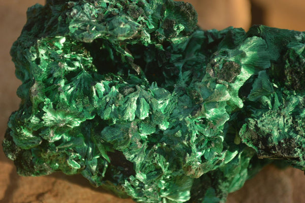 Natural Chatoyant Silky Malachite Specimens  x 2 From Kasompe, Congo