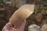 Natural Arcadian Quartz Crystals x 2 From Angola