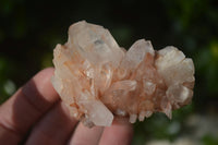 Natural Small Quartz Clusters  x 24 From Madagascar