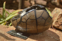 Polished Septerye Sauvage "Dragons Egg" x 1 From Mahajanga, Madagascar - TopRock