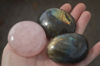 Polished Lovely Mixed Selection Of Palm Stones  x 12 From Madagascar - TopRock