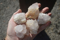 Natural White Spirit Cactus Quartz Crystals  x 24 From Boekenhouthoek, South Africa - Toprock Gemstones and Minerals 