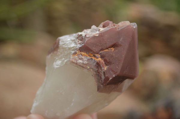 Natural Red Hematoid Quartz Specimens x 12 From Karoi, Zimbabwe - TopRock