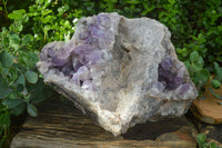 Natural Jacaranda Amethyst Cluster x 1 From Mumbwa, Zambia