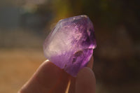 Polished Small Window Amethyst Quartz Points x 12 From Madagascar